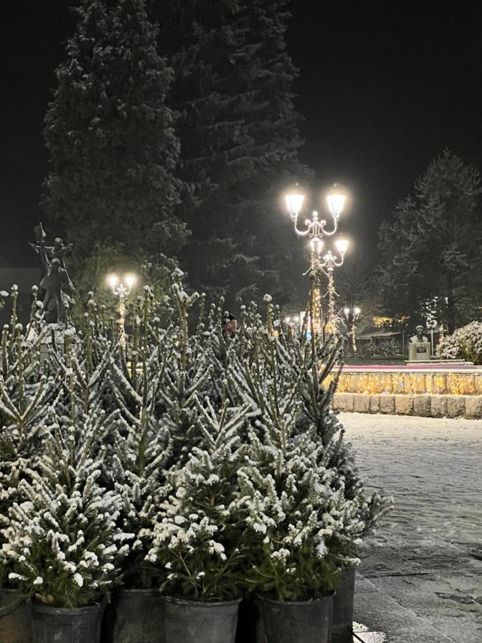 Laf Guest House Kolašin Zewnętrze zdjęcie